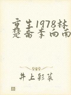 重生1978林楚乔李向南