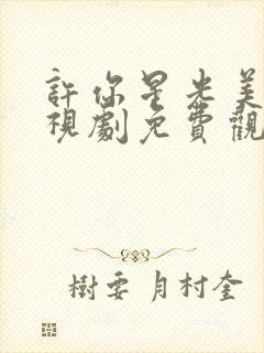 许你星光美丽电视剧免费观看