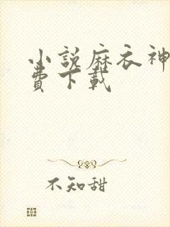 小说麻衣神婿免费下载