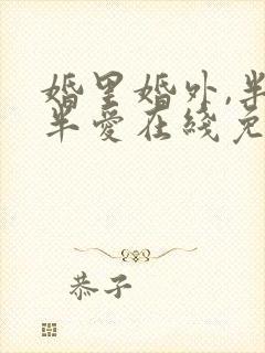 婚里婚外,半欢半爱在线免费阅读