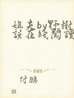 姐夫by野树小说在线阅读全文