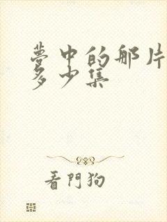 梦中的那片海共多少集