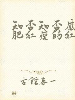 知否知否应是绿肥红瘦的红