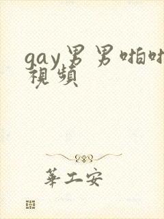 gay男男啪啪视频