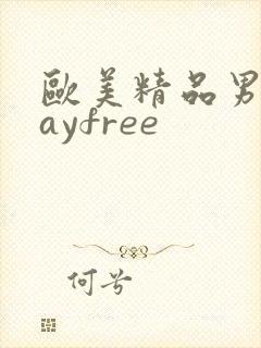 欧美精品男同gayfree