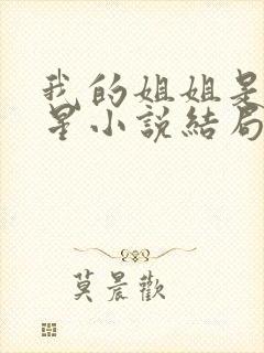 我的姐姐是大明星小说结局