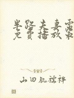 半路夫妻电视剧免费播放策驰影院封面