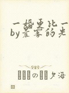 一婚更比一婚高by晨雾的光免费阅读