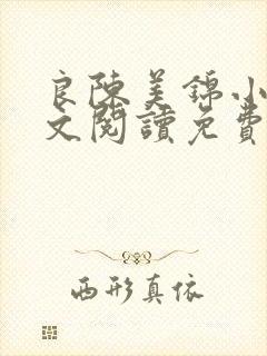 良陈美锦小说全文阅读免费