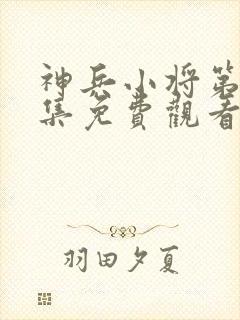 神兵小将第52集免费观看