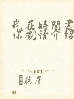 我在时间尽头等你剧情介绍封面