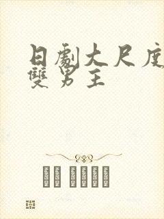 日剧大尺度推荐双男主