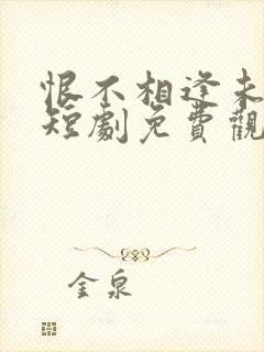 恨不相逢未嫁时短剧免费观看封面