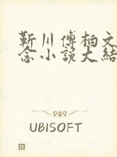 靳川傅柏文沈念念小说大结局封面