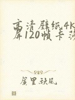 高清壁纸4k全屏120帧卡莎