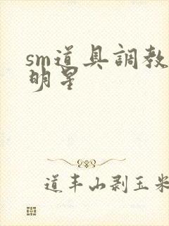sm道具调教男明星
