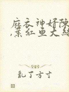 麻衣神婿陈黄皮,叶红鱼大结局