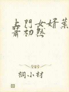 上门女婿叶辰与萧初然