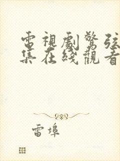 电视剧惊弦45集在线观看封面