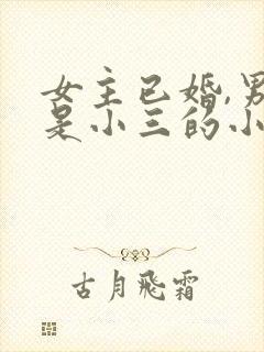 女主已婚,男主是小三的小说封面