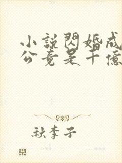 小说闪婚成宠老公竟是千亿大佬免费阅读