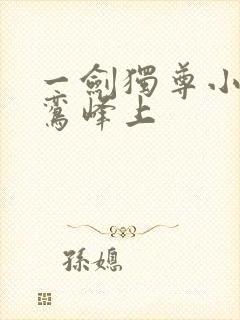 一剑独尊小说青鸾峰上