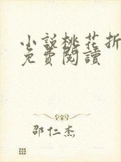 小说桃花折江山免费阅读