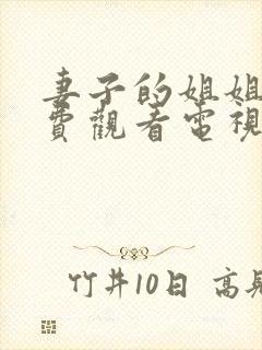 妻子的姐姐2免费观看电视剧完整版封面