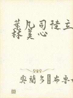 叶凡司徒立嫣然林美心封面