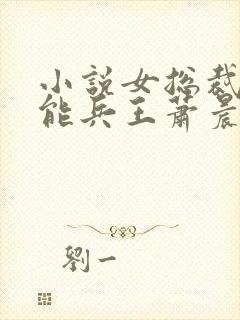 小说女总裁的全能兵王萧晨