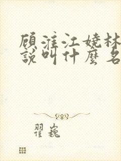 顾淮江娆林澈小说叫什么名字封面