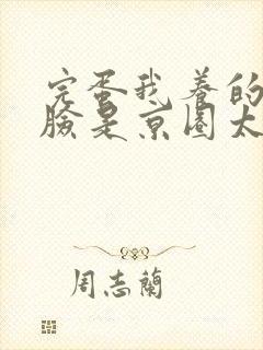 完蛋我养的小白脸是京圈太子爷阅读