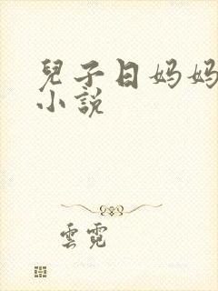 儿子日妈妈b的小说