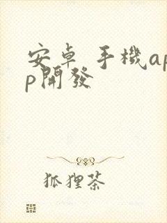 安卓 手机app开发