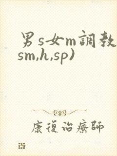 男s女m调教(sm,h,sp)