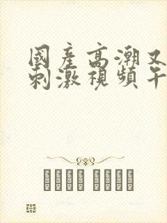 国产高潮又爽又刺激视频午夜一级