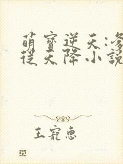 萌宝逆天:爹地从天降小说