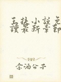 王扶小说免费阅读最新章节无弹窗