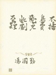 至此飞鸟不相逢短剧免费播放封面