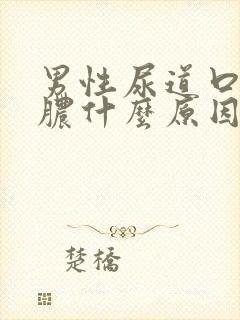 男性尿道口流白脓什么原因