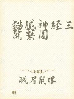 猫腻神经三部曲关系图