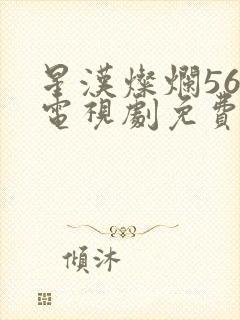 星汉灿烂56集电视剧免费下载