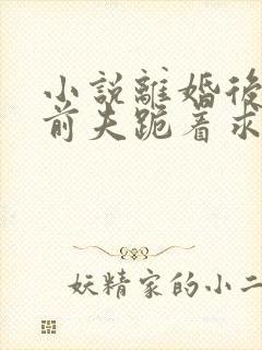 小说离婚后禁欲前夫跪着求复合傅淮舟在线封面