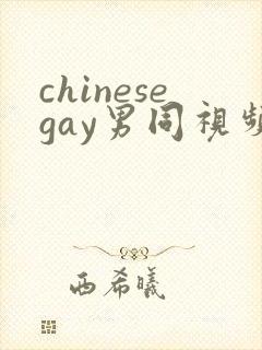 chinesegay男同视频网站