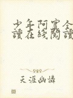 少年阿宾全文阅读在线阅读全文封面