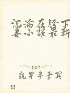 沉沦在胯下的娇妻小说最新章节