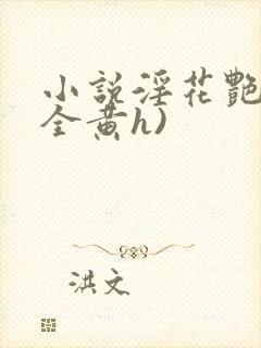 小说淫花艳史(全黄h)