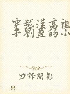 穿越汉高祖嫡长子刘盈的小说