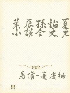 叶辰孙怡夏若雪小说全文免费阅读