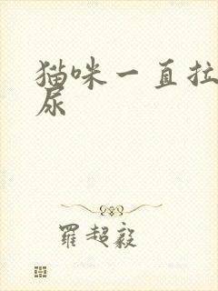 猫咪一直拉不出尿